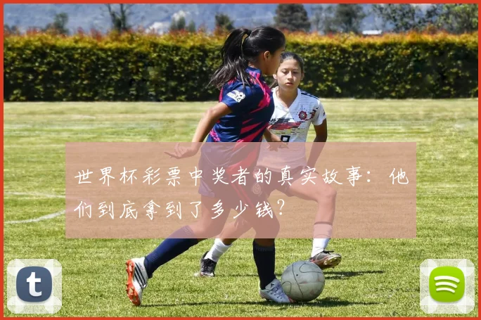 世界杯彩票中奖者的真实故事：他们到底拿到了多少钱？