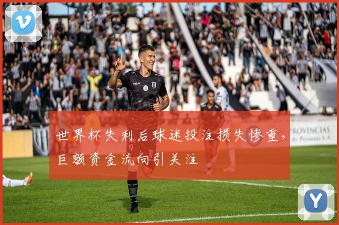 世界杯失利后球迷投注损失惨重，巨额资金流向引关注