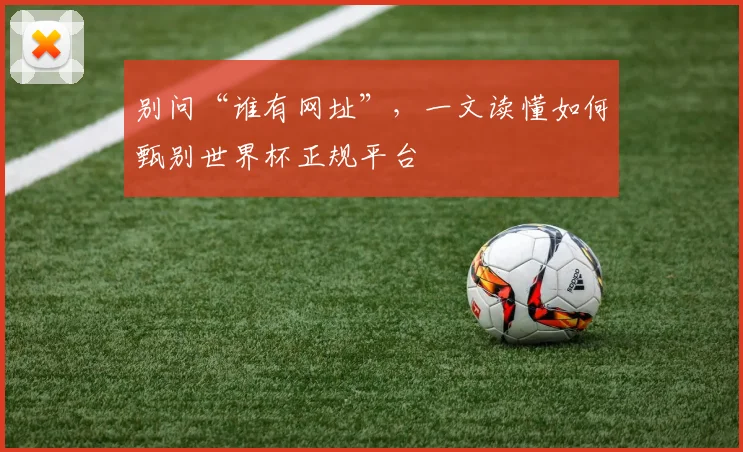 别问“谁有网址”，一文读懂如何甄别世界杯正规平台