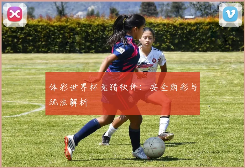 体彩世界杯竞猜软件：安全购彩与玩法解析