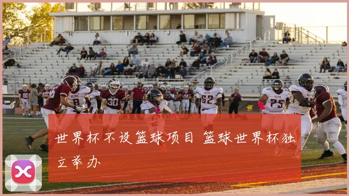 世界杯不设篮球项目 篮球世界杯独立举办