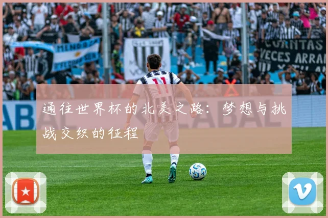 通往世界杯的北美之路：梦想与挑战交织的征程