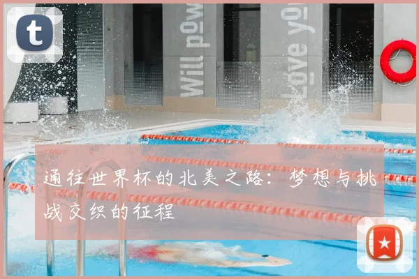 通往世界杯的北美之路：梦想与挑战交织的征程