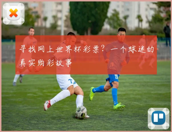 寻找网上世界杯彩票?一个球迷的真实购彩故事