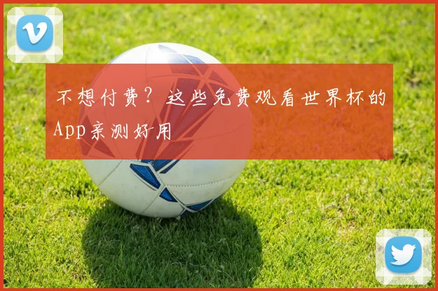 不想付费？这些免费观看世界杯的App亲测好用