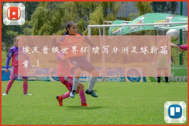 埃及晋级世界杯 续写非洲足球新篇章_1