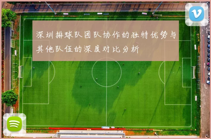深圳排球队团队协作的独特优势与其他队伍的深度对比分析