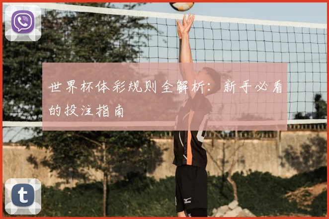世界杯体彩规则全解析：新手必看的投注指南